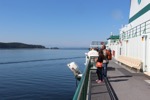 resIMG_20170708_114744_7931.JPG